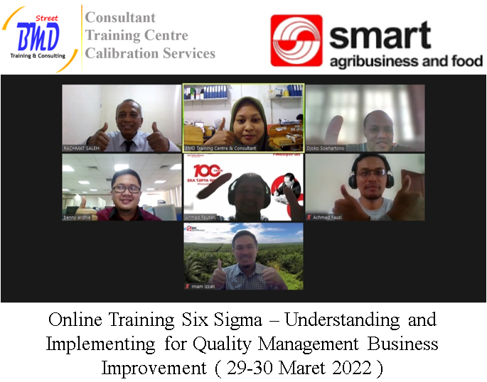 Training Six Sigma - Understanding and Implementing